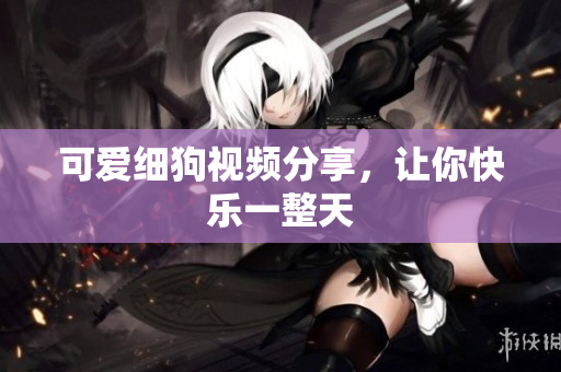 可爱细狗视频分享，让你快乐一整天