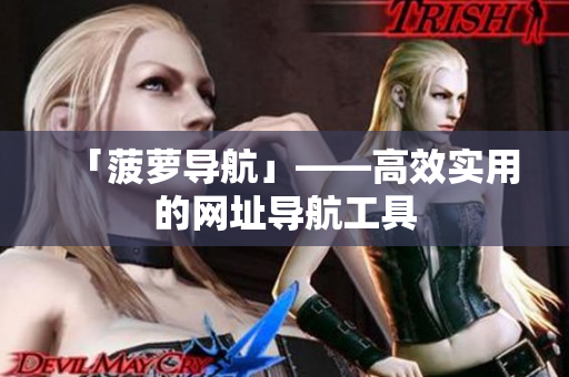 「菠萝导航」——高效实用的网址导航工具