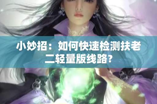 小妙招：如何快速检测扶老二轻量版线路？