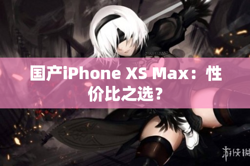 国产iPhone XS Max：性价比之选？