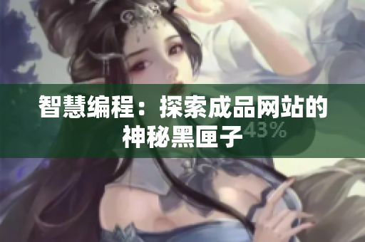 智慧编程：探索成品网站的神秘黑匣子
