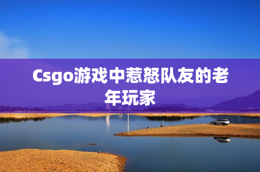 Csgo游戏中惹怒队友的老年玩家