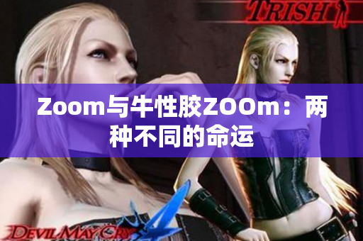 Zoom与牛性胶ZOOm：两种不同的命运