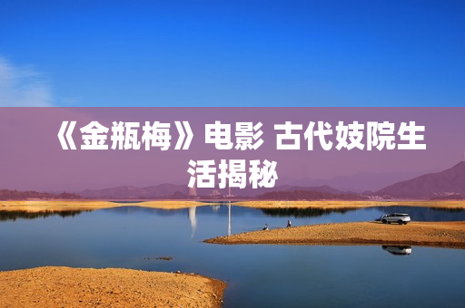 《金瓶梅》电影 古代妓院生活揭秘