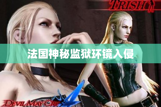 法国神秘监狱环镜入侵
