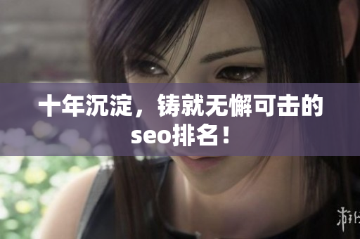 十年沉淀，铸就无懈可击的seo排名！