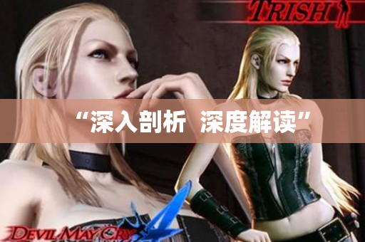 “深入剖析  深度解读”