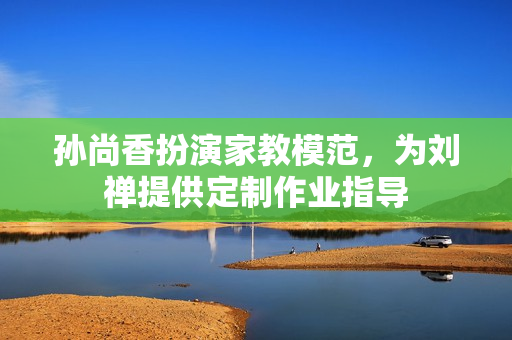 孙尚香扮演家教模范，为刘禅提供定制作业指导