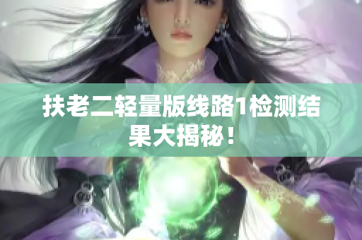 扶老二轻量版线路1检测结果大揭秘！