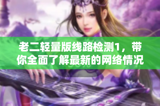 老二轻量版线路检测1，带你全面了解最新的网络情况