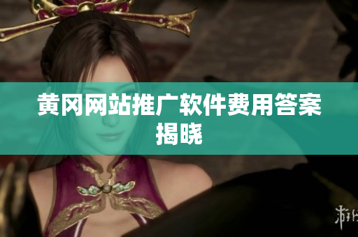 黄冈网站推广软件费用答案揭晓