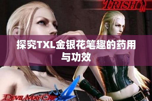 探究TXL金银花笔趣的药用与功效