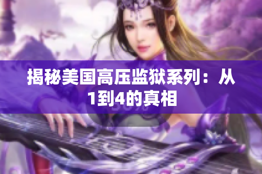 揭秘美国高压监狱系列：从1到4的真相