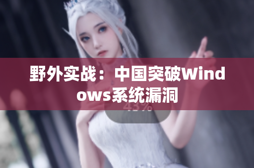 野外实战：中国突破Windows系统漏洞