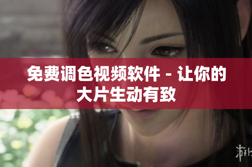 免费调色视频软件 - 让你的大片生动有致
