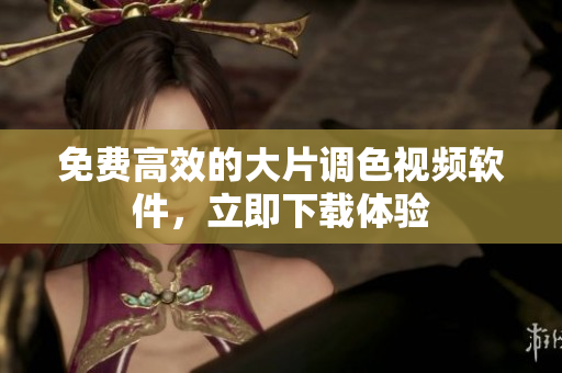 免费高效的大片调色视频软件，立即下载体验
