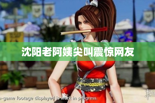 沈阳老阿姨尖叫震惊网友