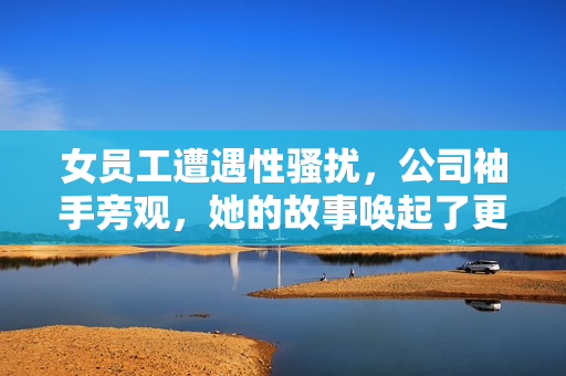 女员工遭遇性骚扰，公司袖手旁观，她的故事唤起了更多女性员工的共鸣