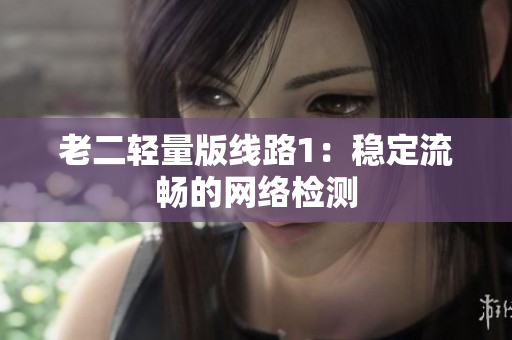 老二轻量版线路1：稳定流畅的网络检测