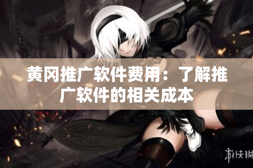 黄冈推广软件费用：了解推广软件的相关成本
