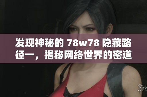 发现神秘的 78w78 隐藏路径一，揭秘网络世界的密道