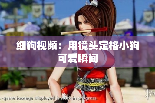 细狗视频：用镜头定格小狗可爱瞬间