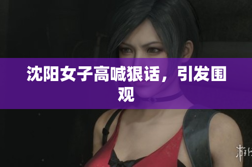 沈阳女子高喊狠话，引发围观
