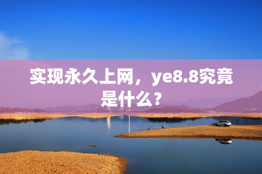 实现永久上网，ye8.8究竟是什么？