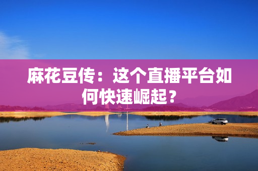 麻花豆传：这个直播平台如何快速崛起？