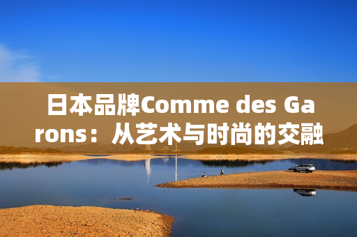 日本品牌Comme des Garons：从艺术与时尚的交融中汲取灵感