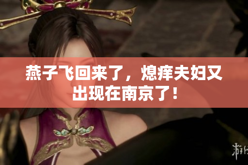 燕子飞回来了，熄痒夫妇又出现在南京了！