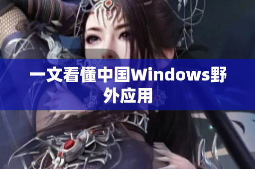 一文看懂中国Windows野外应用