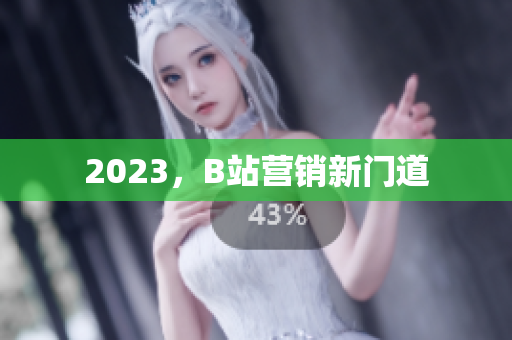 2023，B站营销新门道