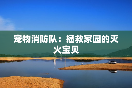宠物消防队：拯救家园的灭火宝贝