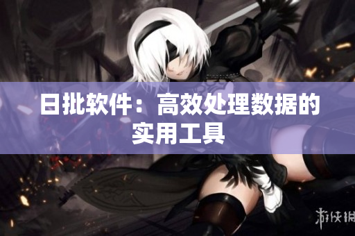 日批软件：高效处理数据的实用工具