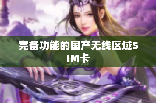 完备功能的国产无线区域SIM卡