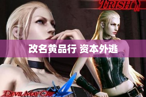 改名黄品行 资本外逃