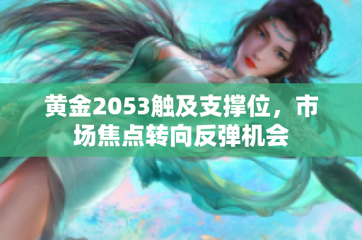 黄金2053触及支撑位，市场焦点转向反弹机会