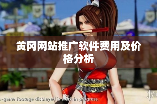 黄冈网站推广软件费用及价格分析