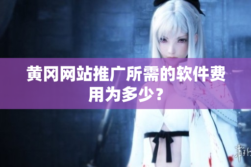 黄冈网站推广所需的软件费用为多少？