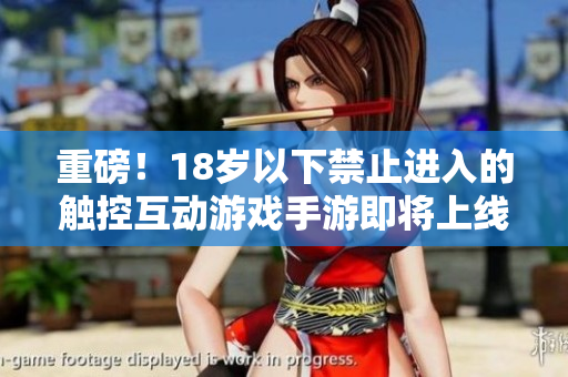 重磅！18岁以下禁止进入的触控互动游戏手游即将上线！