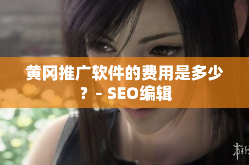 黄冈推广软件的费用是多少？- SEO编辑