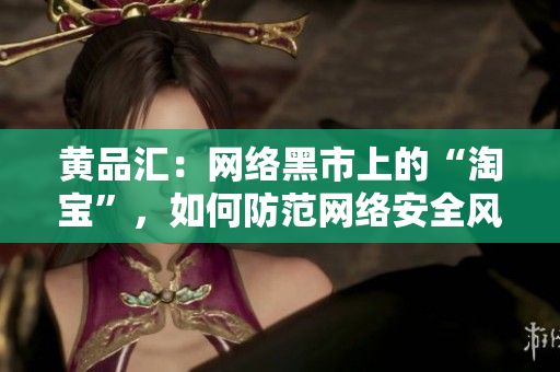 黄品汇：网络黑市上的“淘宝”，如何防范网络安全风险？