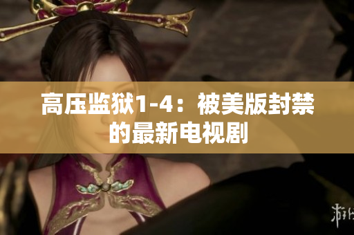 高压监狱1-4：被美版封禁的最新电视剧