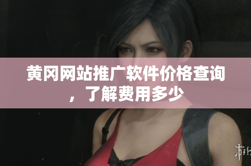 黄冈网站推广软件价格查询，了解费用多少