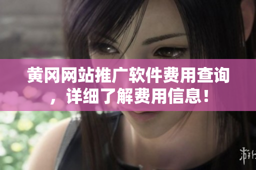黄冈网站推广软件费用查询，详细了解费用信息！