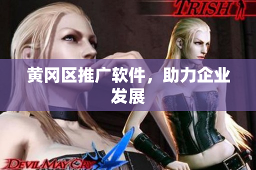 黄冈区推广软件，助力企业发展