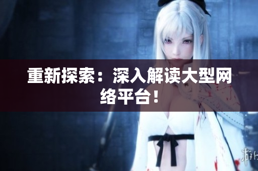 重新探索：深入解读大型网络平台！
