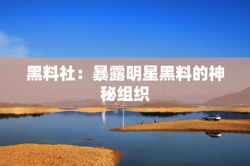黑料社：暴露明星黑料的神秘组织