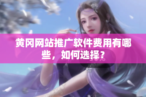 黄冈网站推广软件费用有哪些，如何选择？